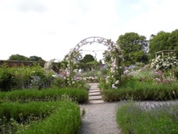 Mottisfont Abbey Wallpaper
