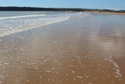 Golden sands of Freshwater