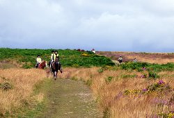 Quantock Hills Wallpaper