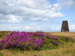 Quantock Hills Wallpaper