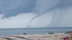 Thar she blows! Wallpaper