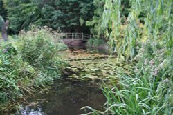 Water Garden Wallpaper