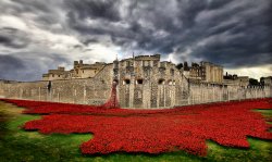 Remembered - Tower of London Wallpaper