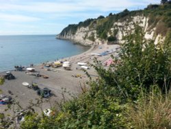 Beer beach from the cliff top Wallpaper