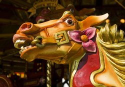 Fairground Horse Wallpaper