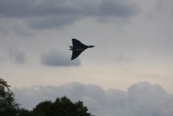 Graceful But Oh So Noisy Wallpaper