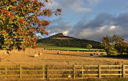 Winter Feed,Roseberry Topping Newton Under Roseberry Wallpaper