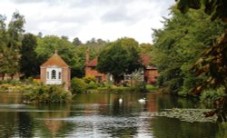 The Pond Harrietsham