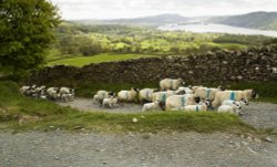Troutbeck Rush Hour Wallpaper