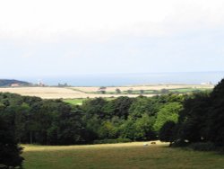 Sheringham Park in Sheringham Wallpaper