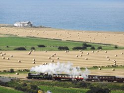 Sheringham Park in Sheringham - The Poppy Line Wallpaper