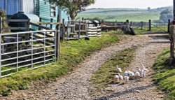 Heading For Freedom, Kettleness Wallpaper