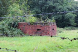 Guaurding the Abbey Wallpaper