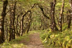 Dart gorge Wallpaper