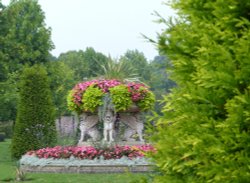 Floral Display in Regent's Park Wallpaper