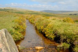 Dartmoor leat Wallpaper