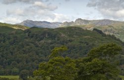 Lanty Scar and the Langdale Pikes