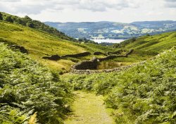 Windermere from Scandale Wallpaper