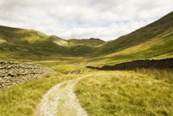 Scandale 5 Wallpaper