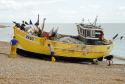 The Alfie Elliot Wallpaper