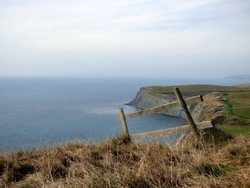 Kimmeridge Wallpaper