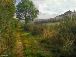 Fontmell Magna, Dorset. Wallpaper