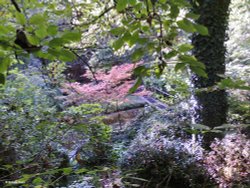 Fontmell Magna, Dorset. Wallpaper