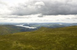 Scandale 11 Wallpaper