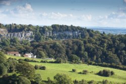 Lancaut Peninsular, Tidenham. Wallpaper