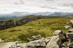 Scandale 14 Wallpaper