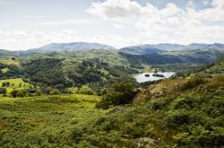 Scandale 17 Wallpaper