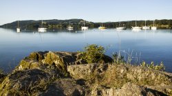 Borrans boats Wallpaper