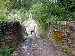 Haddon Hill Wallpaper