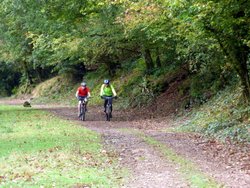 Haddon Hill Wallpaper