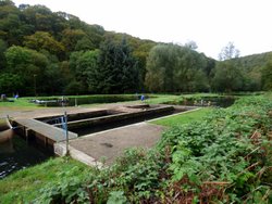 Haddon Hill Wallpaper