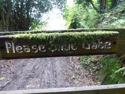 Haddon Hill Wallpaper