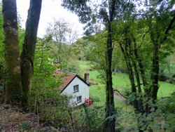 Haddon Hill Wallpaper