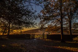 Bradgate park Wallpaper
