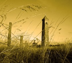 the tyndale monument Wallpaper