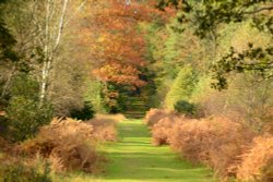 Autumn Colours Wallpaper