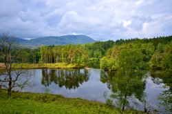 Tarn Hows, Cumbria Wallpaper