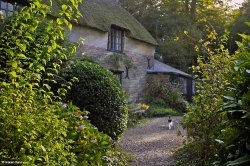 Stinsford, Dorset. Wallpaper