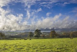 Autumn Colours on the Chatsworth Estate 3 Wallpaper
