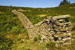 Low Sweden Coppice 2 Wallpaper