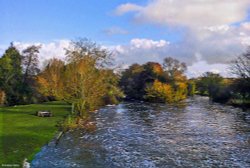 Stour Valley Autumn Dorset Wallpaper