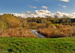 Stour Valley Autumn Dorset Wallpaper