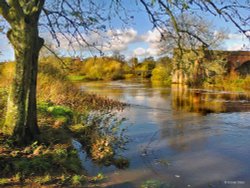 Stour Valley Autumn Dorset Wallpaper