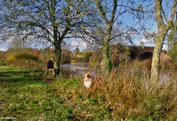 Stour Valley Autumn Dorset Wallpaper