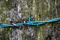 Hartshill Hayes Wallpaper