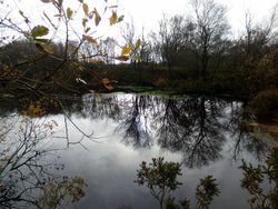 Sampford Moor Wallpaper